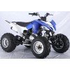 專(zhuān)業(yè)供應(yīng)沙灘車(chē)等整車(chē)和配件