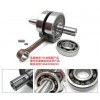 TM加強(qiáng)型摩托車曲軸軸承、發(fā)動(dòng)機(jī)軸承 電動(dòng)車軸承、電機(jī)軸承。